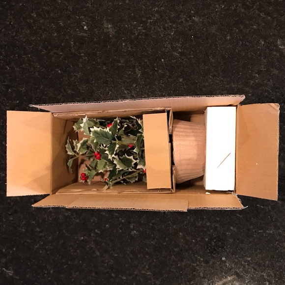 New Pottery Barn Faux Potted Holly, Holiday Plant - Picture 11 of 13